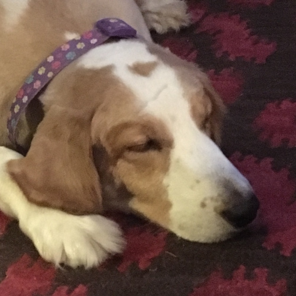 Meet your Posher, Alendra